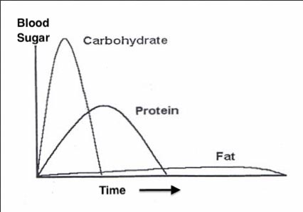 carb-protein-fat