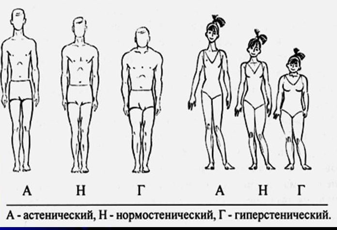 диета для девушек занимающихся в тренажерном зале