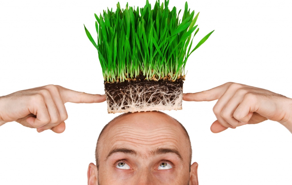 «Корень зла»: укрепляем корни, чтобы предотвратить выпадение волос