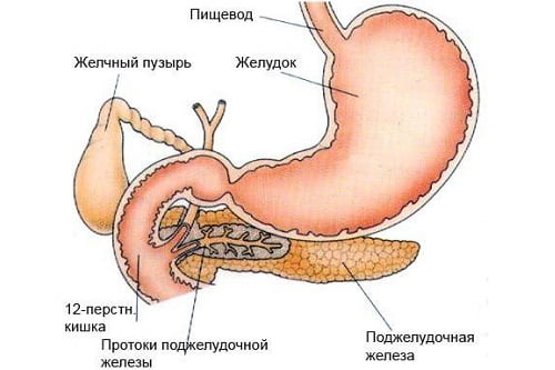 Вред пива на организм