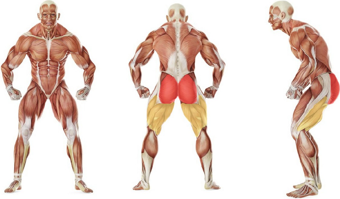 Какие мышцы работают в упражнении Махи ногой на нижнем блоке