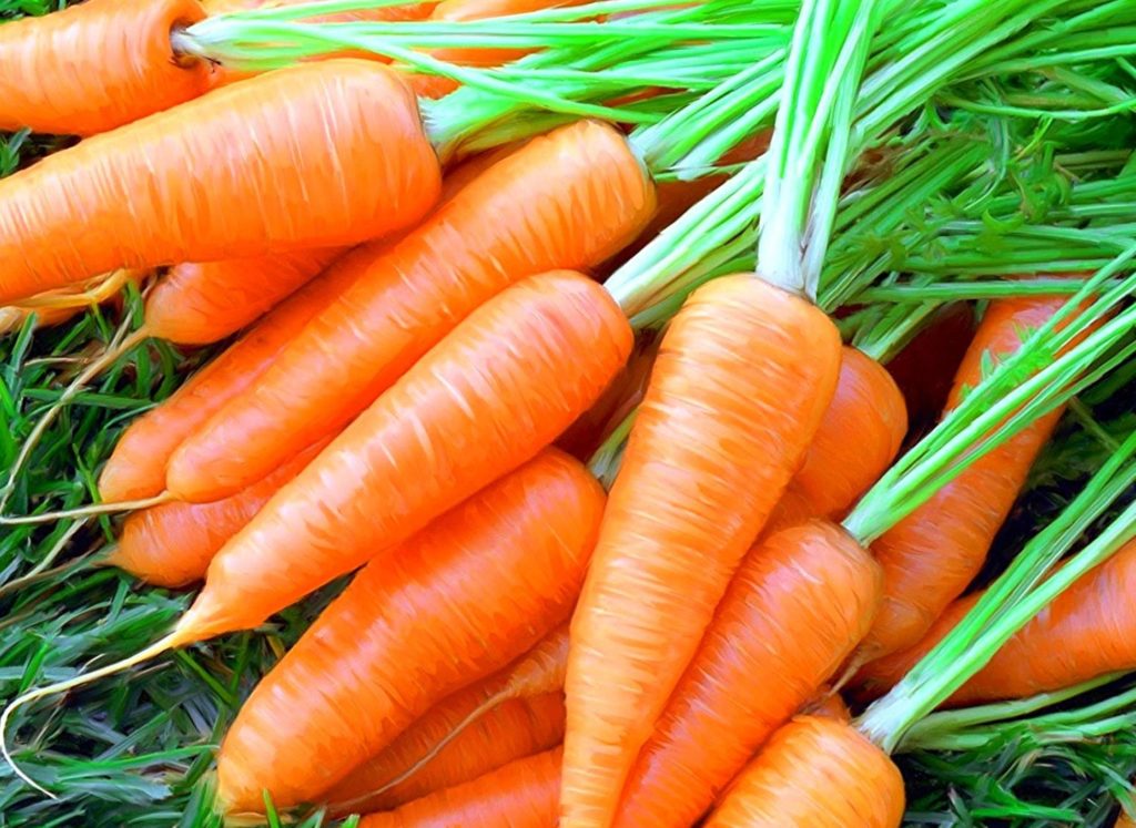 Морковная диета — отзывы и меню на 3 и 7 дней