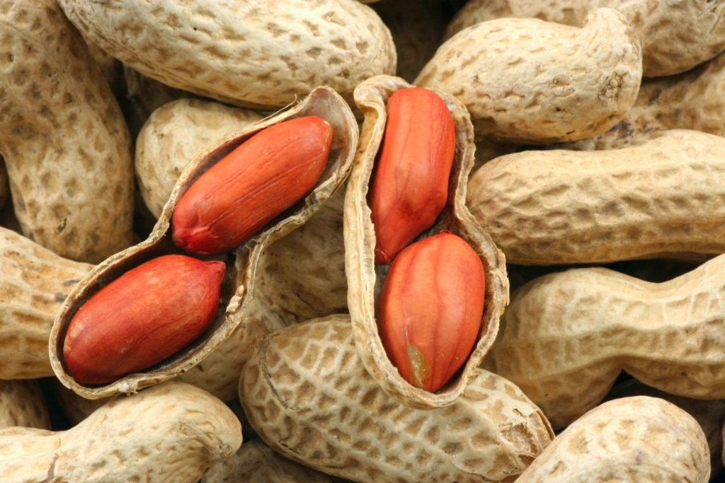 Какие орехи можно есть при похудении?