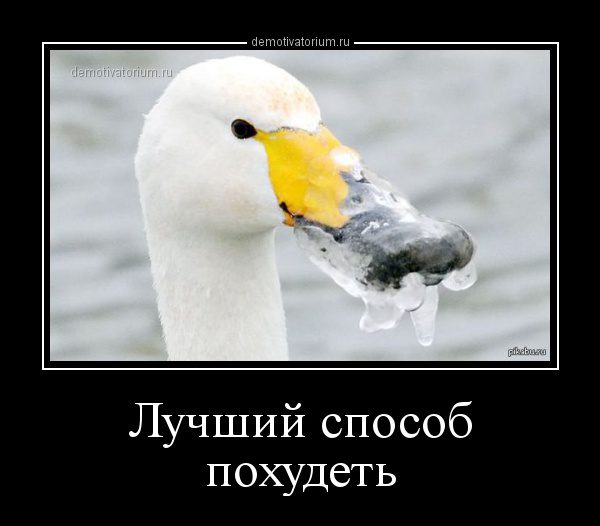 demotivatorium_ru_luchshij_sposob_pohudet_71329
