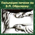 Чем лечить увеличенную печень и как привести ее в норму?