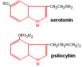 псилоцибин и серотонин