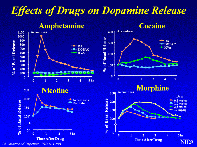 наркота и дофамин