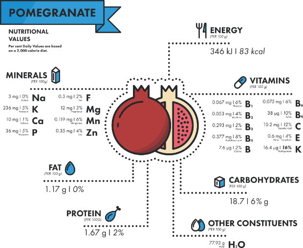 состав витаминов, минералов и БЖУ в гранате