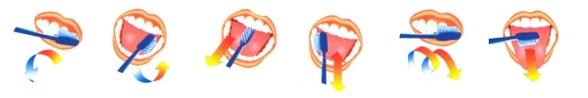 Фото: Методика чистки зубов
