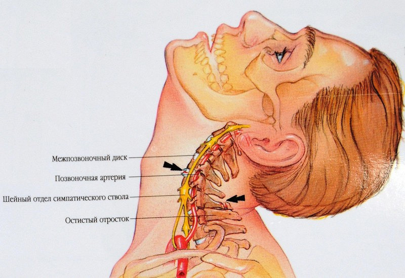 11 эффективных упражнений для улучшения мозгового кровообращения