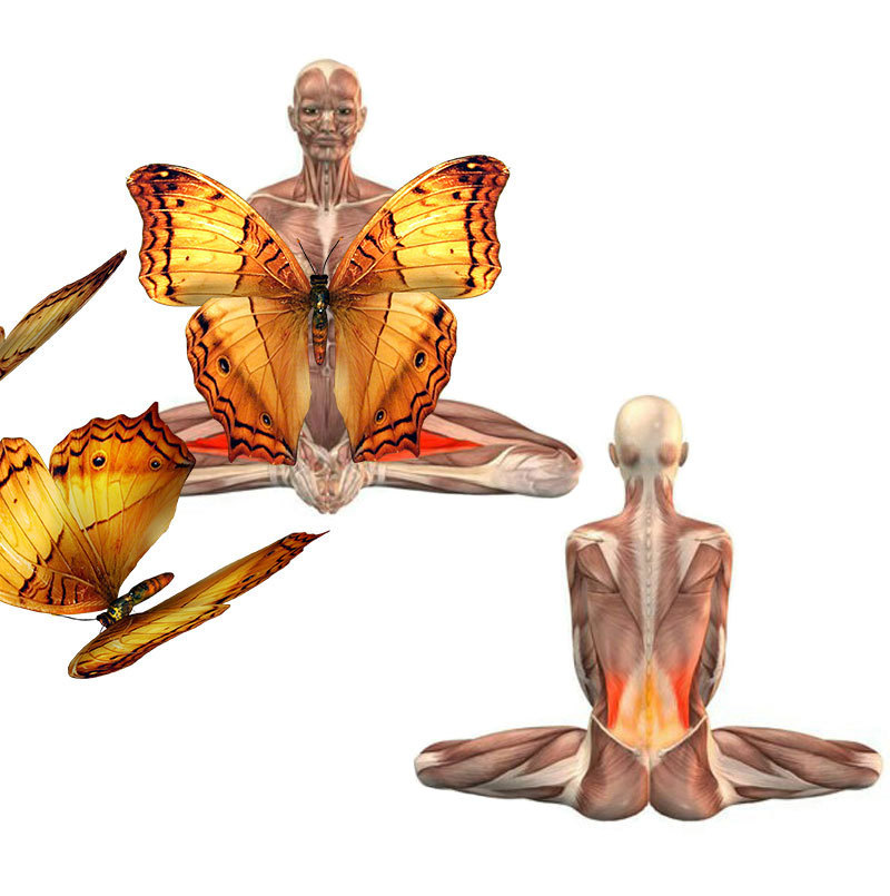 «Бабочка» — СУПЕР упражнение для женского здоровья