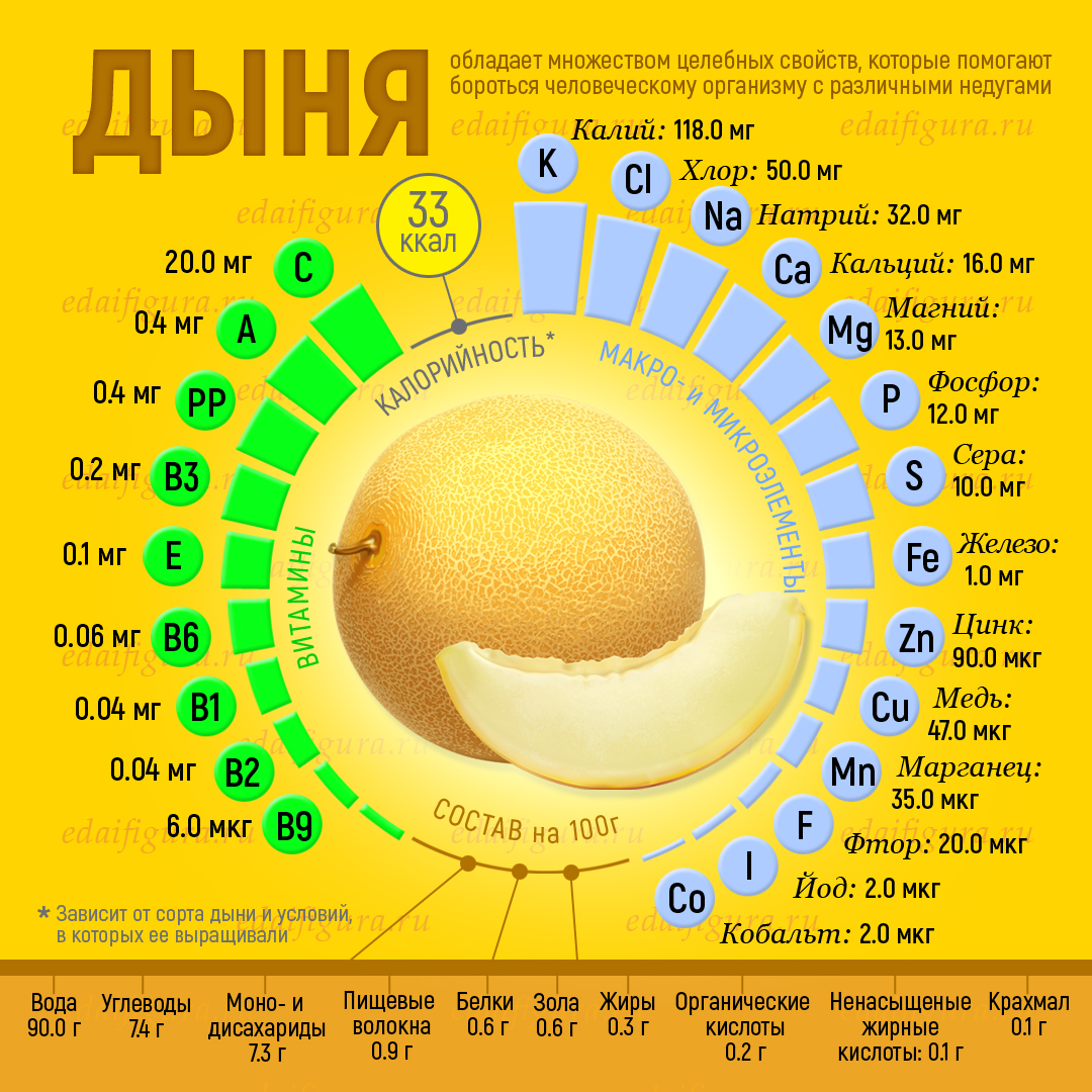 польза дыни фото