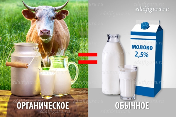 молочные продукты фото