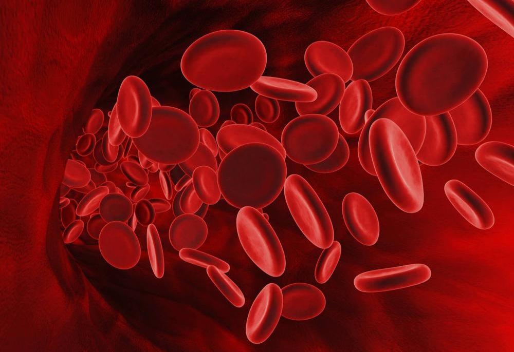 Влияние железа на уровень гемоглобина