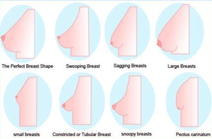 Как сохранить форму груди