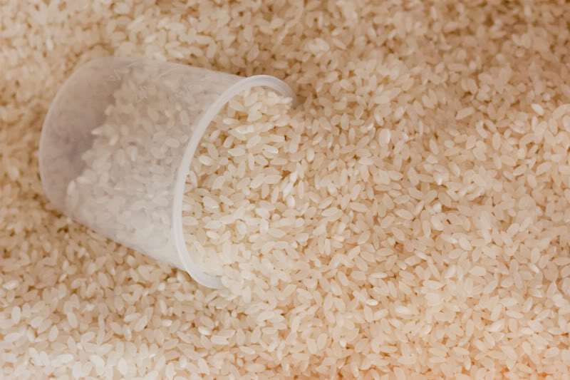 Рис при варке нельзя солить