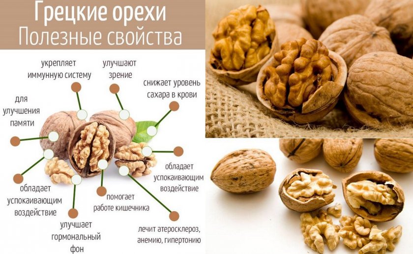Полезные свойства грецкого ореха