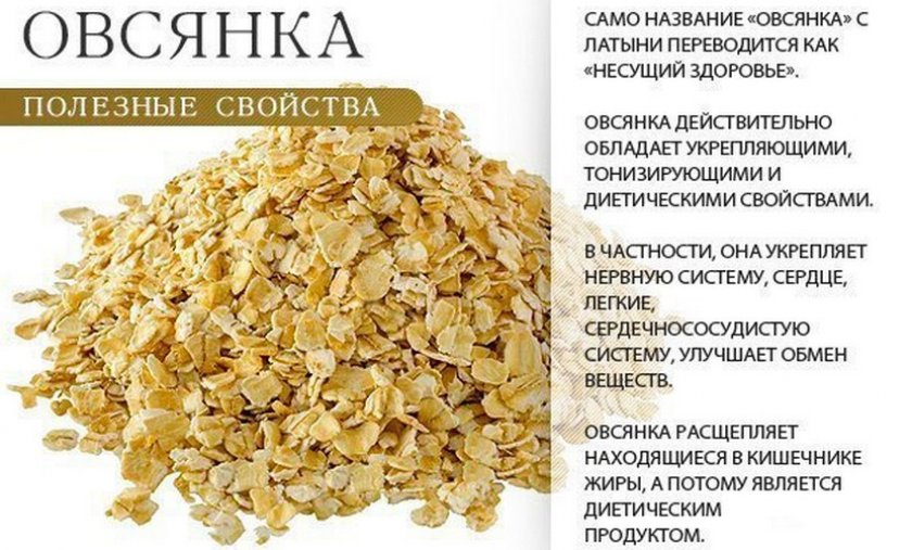 Польза овсянки