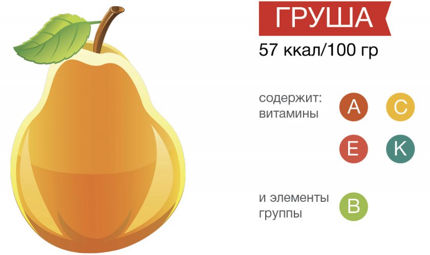 Полезные свойства груши Полезные свойства груши