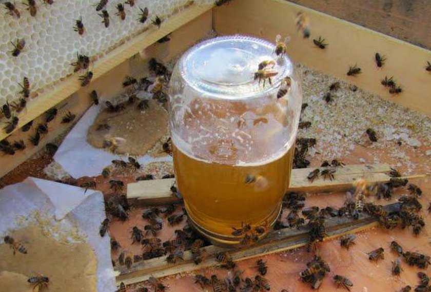 Скармливание пчелам сахарный сироп