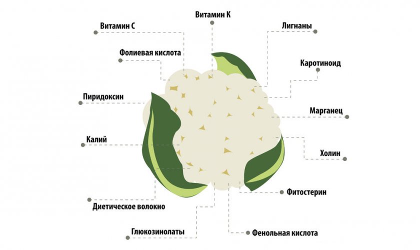 Состав цветной капусты