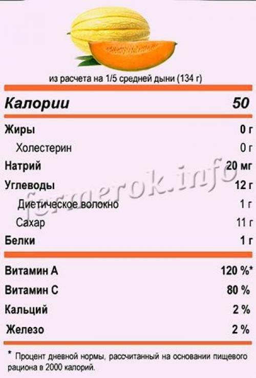 Дыня колхозница калорийность. Калорийность дыни и полезные свойства