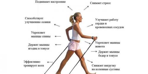 Шаги в калории калькулятор. Расход калорий при ходьбе: таблица и калькулятор расчета