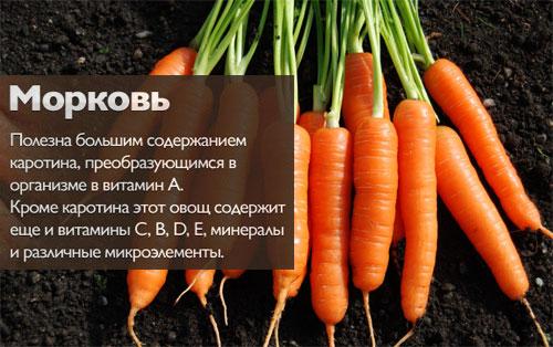 Сколько калорий в моркови. Морковь