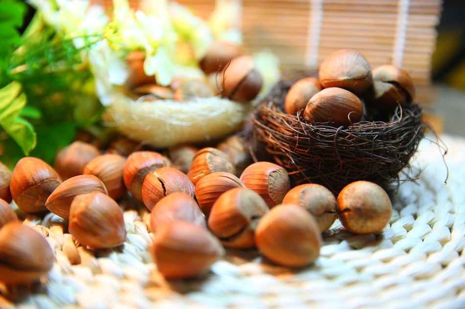 Лесной орех этот богатый источник витамина e и фолиевой кислоты