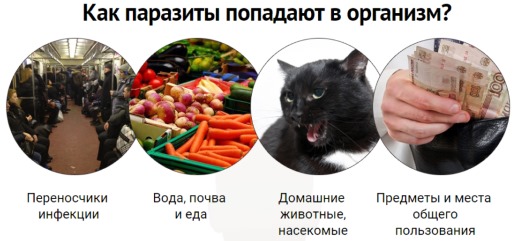 Причины резкой потери веса у женщин. Симптомы и признаки болезней, нормы массы тела и как вернуть нормальный вес