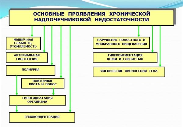 Причины резкой потери веса у женщин. Симптомы и признаки болезней, нормы массы тела и как вернуть нормальный вес