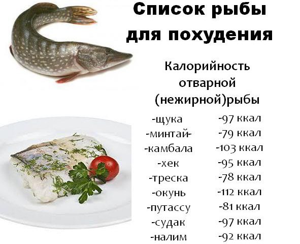 можно ли на диете соленую рыбу можно ли на диете соленую рыбу