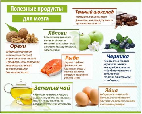 Продукты стимулирующие работу головного мозга. 8 продуктов, улучшающих умственную деятельность