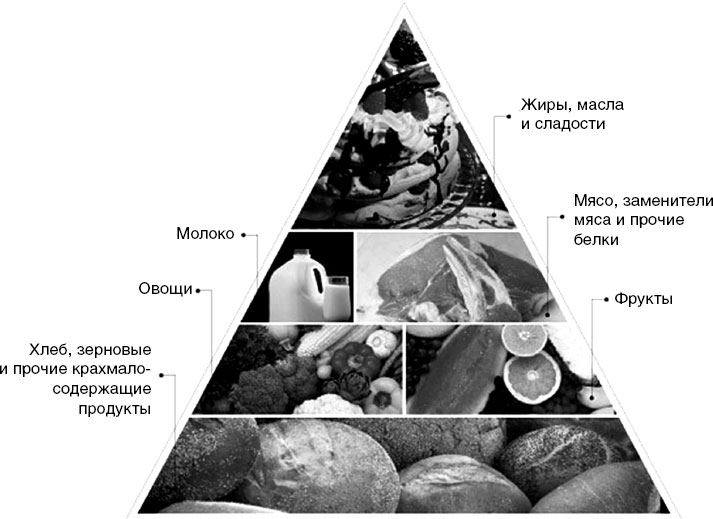Пирамида питания при СД2