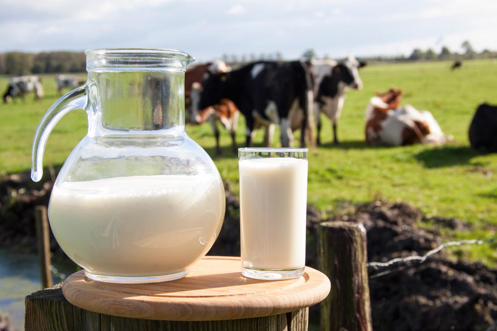Непереносимость молока и аллергия на молочный белок