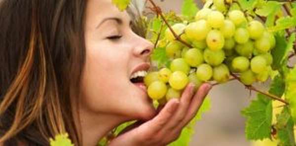 Употребление винограда в диетических целях