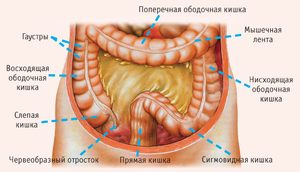 Чистка кишечника от шлаков