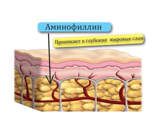 как действует аминофиллин