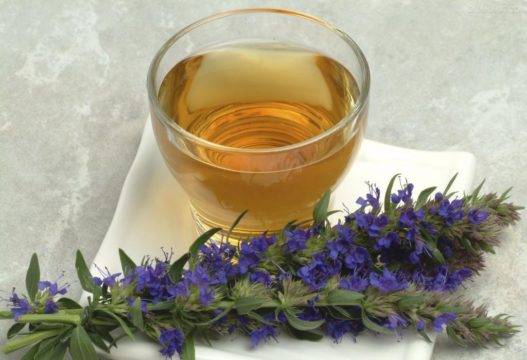 Чай с иссопом (синий зверобой) - эффективное средство при повышенной потливости ног