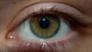 Характеристика людей с зелеными глазами