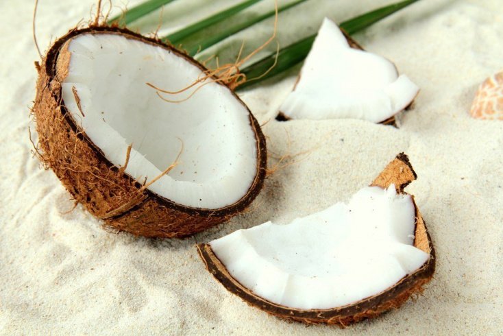 Возможно ли похудение с кокосом?