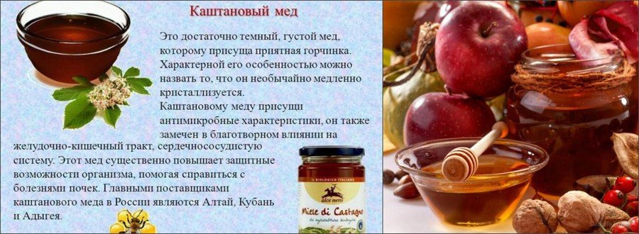 Каштановый мед польза