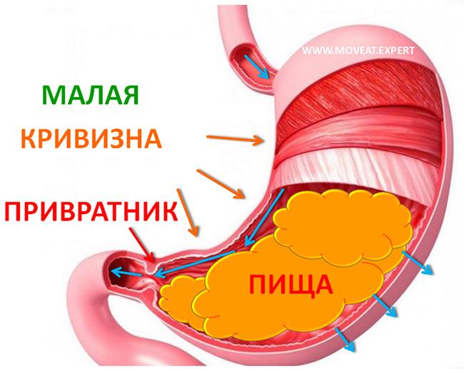 Полезно ли пить воду во время еды?