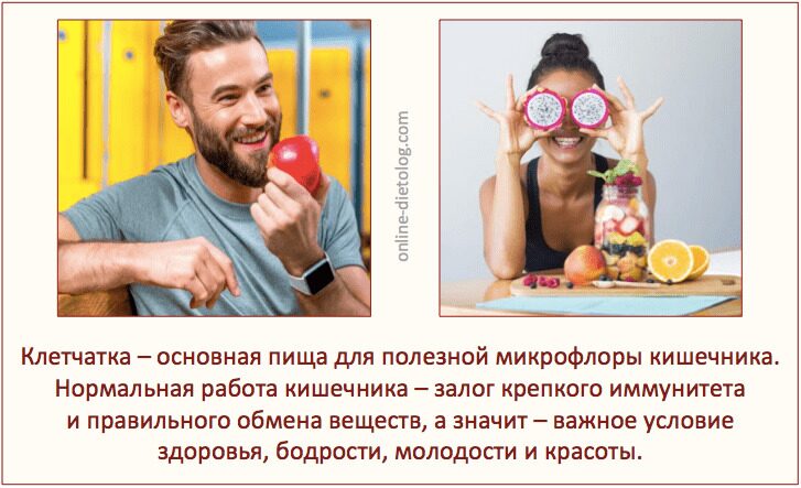 Клетчатка - основная пища кишечных бактерий. Клетчатка для похудения. Клетчатка для налаживания работы кишечника