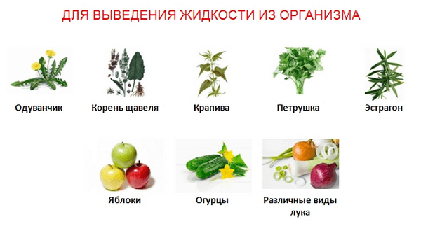 продукты и травы для выводы воды из организма