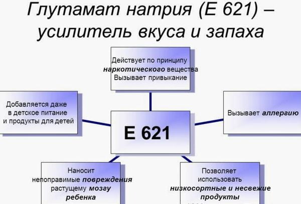 Схема действия глутамата натрия