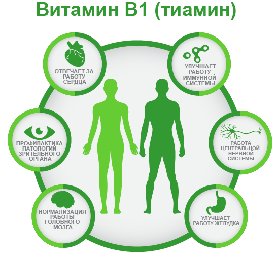 витамин B1 ифографика