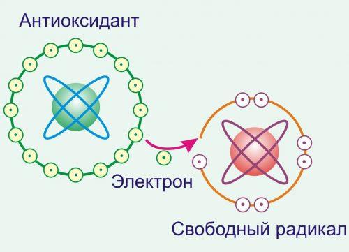 Как пить МКЦ для похудения схема. Применение (МКЦ) микроцеллюлозы для похудения