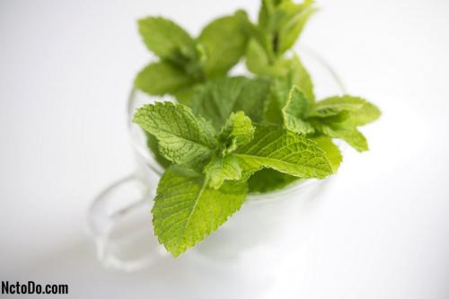 Зеленый чай с мятой для похудения. Лучшие рецепты с мятой для похудения