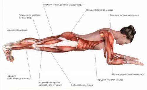 Планка для похудения для начинающих. Планка для похудения в домашних условиях